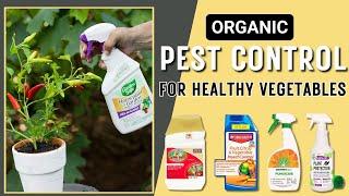 Best Natural Insecticides For Vegetables - Keep Your Garden Pest Free