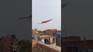 kite flying fun #kiteflying #kiteflying #basantfestival #basantkiteflying