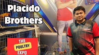 Placido Brothers | Limuel Reyes | Richard Fulgencio