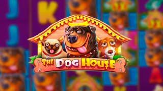 ЛОВИМ ОЧЕНЬ ДОРОГИЕ БОНУСКИ В DOG HOUSE (СЛОВИЛ)