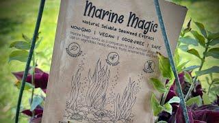 MARINE MAGIC REVIEW #Productreview￼#Fertilizersupplement￼ #marinemagic