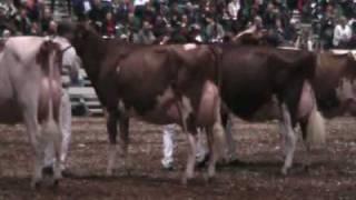 Canadian National Red & White Show Grand Champions