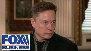 Elon Musk exposes why Democrats don’t want ‘waste and fraud’ to be turned off