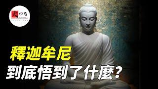 释迦牟尼到底悟到了什么？ 为什么他居然说这个世界没有主宰，没有神！|seeker大师兄