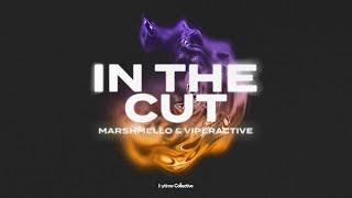 Marshmello x Viperactive - In The Cut (Official Visualizer)