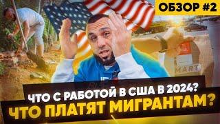 Что с РАБОТОЙ в США в 2024 на ДОСТАВКЕ? Что платят мигрантам?