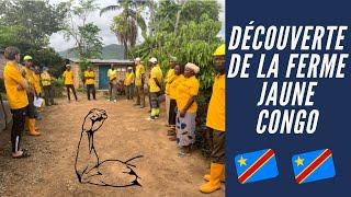 Congo Kinshasa : Comment créer Un modèle de ferme maraîchère de la ferme au client #rdc