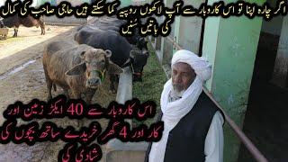 Buffalo farming for reaping large profit|Three dimensional Haji sab dairy farm| بھینسوں کا دیسی علاج