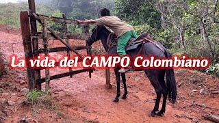 3 Días viviendo la experiencia del CAMPO COLOMBIANO