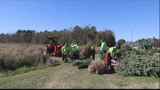 WSAV News 3 at 6:00 p.m.