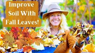 5 GREAT Ways to Use Fall Leaves in the Garden - Feed Your Soil