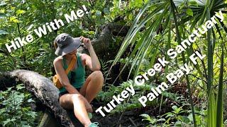 Come Hike With Me at Turkey Creek Sanctuary! Palm Bay, Florida