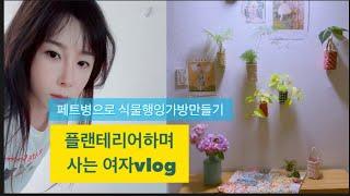 페브릭+페트병으로 벽면 플랜테리어