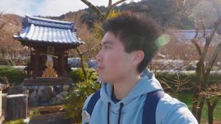 How 130 Days in Japan Changed My Life Forever