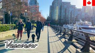 【4K】Vancouver Spring Walk -  Seawall Water Walk in Coal Harbour - (March 2021)