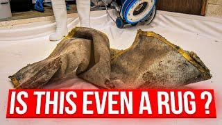 This Rug Clean Is PURE GOLD! It's INCREDIBLE! Satisfying ASMR Timelapse.