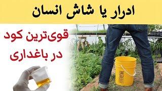 با ادرار یا شاش انسان در دو دقیقه قوی ترین کود بساز تا درختان صد در صد رشد کند. | باغبانی با آزاد