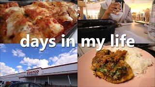 costco shop, meatball & mozzarella lasagne, lamb chops curry - days in my life