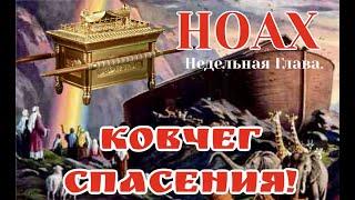 Недельная глава Ноах (Ной) 1 часть