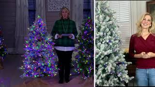 Home Reflections Color Flip Fairy Light Christmas Tree on QVC