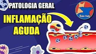 Inflamação aguda - fenômenos vasculares e celulares - Patologia Veterinária