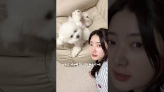 유튜버 시은니야, 숨겨둔 남편 공개 ㄷㄷ