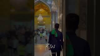خیلی‌جاها عکس کربلا رو دیدم ولی