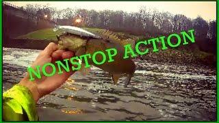 Shenango River Fishing  NONSTOP ACTION!!!