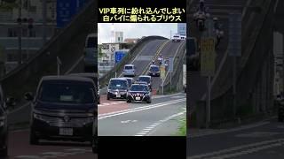 要人車列に紛れ込んでしまい白バイ３台にサイレンで怒られるプリウスさん!! #policecar