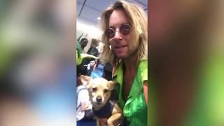 Greg Cipes Vlog FanExpo Canada 2019