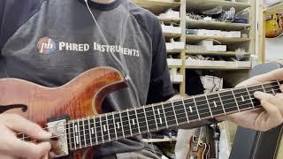 PHRED instruments Reprise guitar played with a backing track on loop, and then just the guitar.