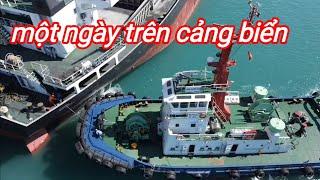 một ngày trên cảng biển