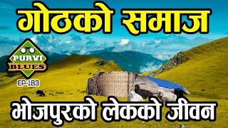 हिमालको काखमा गोठको जीवन || चौरी र भेडा गोठको समाज || Yak Sheds in Maiyung Hill Bhojpur Khotang