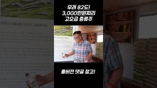 무려 82도! 3,000만원짜리 고오급 증류주의 맛은? #쩐라남도 #해창막걸리