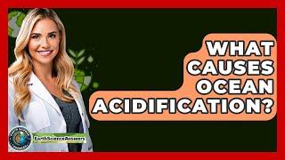 What Causes Ocean Acidification? - Earth Science Answers