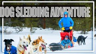 Dog Sledding in Montana with Yellowstone Dog Sledding Adventures near Big Sky