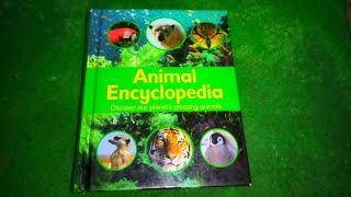 Animal Encyclopedia | Discover our planet's amazing animals 