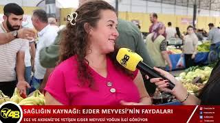 SAĞLIĞIN KAYNAĞI: EJDER MEYVESİ’NİN FAYDALARI