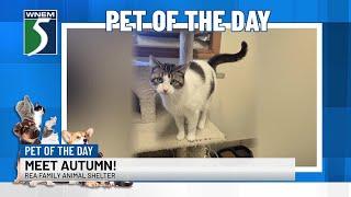 Pet of the Day: Meet Autumn!