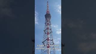 The St. Petersburg TV Tower (Санкт-Петербургская телебашня) #Shorts