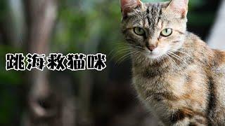 跳海救猫！