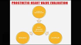 Prosthetic valve 2