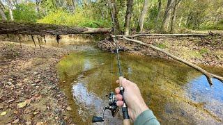 TINY Creek Ultralight TROUT Fishing