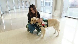 Texas Children’s Therapy Dog Program