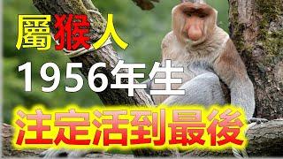 1956年屬猴的今年怎麼樣，56年屬猴人2024年運勢，屬猴的人天生十分聰明，屬猴人可以把複雜的人際關係處理好，1956年屬猴人的今年過得怎麼樣?到底屬猴人運勢如何呢2024生肖運勢，十二生肖（生肖）