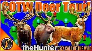 The Call of the Wild DEER TOUR 2024! | Hunting EVERY Deer Species Pt 1