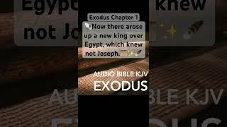 Bible, Exodus Chapter 1,A New Pharaoh Rises Who Does Not Know Joseph #shorts #bible #exodus