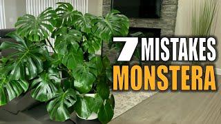 STOP Killing Your Monstera | 7 Mistakes and How to Fix Them