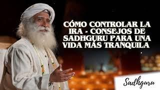 Cómo Controlar la Ira - Consejos de Sadhguru para una Vida más Tranquila  - Orador Sadhguru