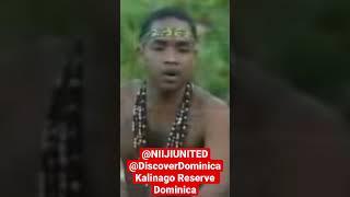 Kalinago Tribal Reserve Dominica: #blackindian #blackindigenous #niiji #taino #aboriginalamerican